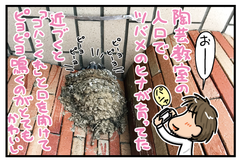 20170526.png