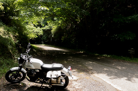 クリックで拡大します