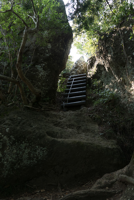 クリックで拡大します