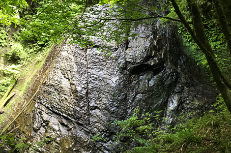 クリックで拡大します