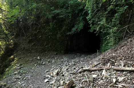 クリックで拡大します