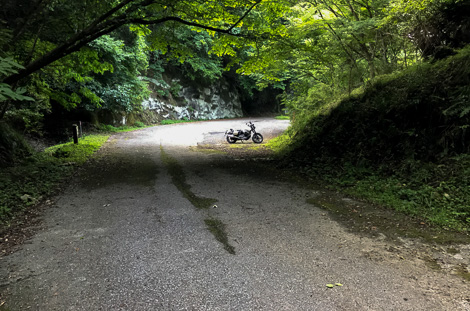 クリックで拡大します